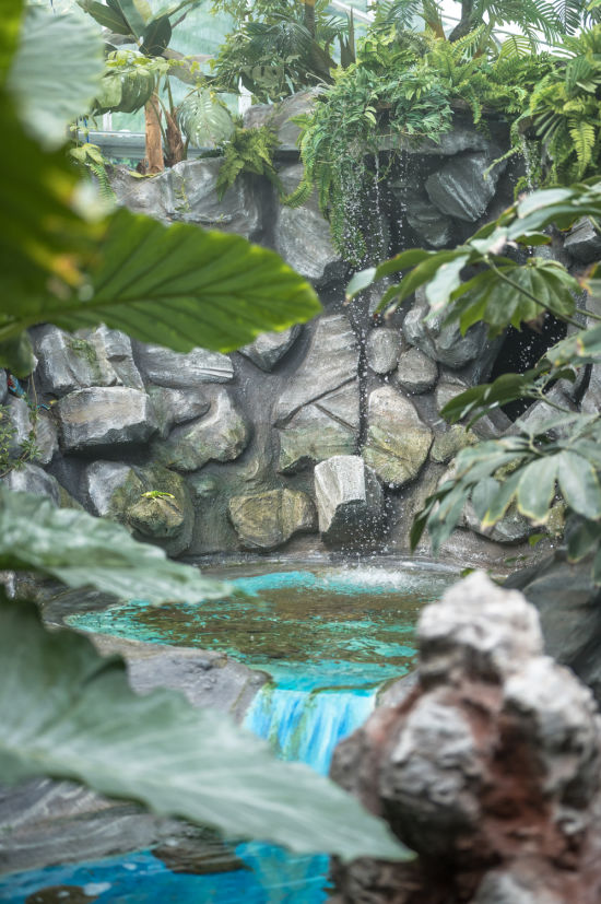 Wasser in der Schmetterlingswelt in Tattendorf