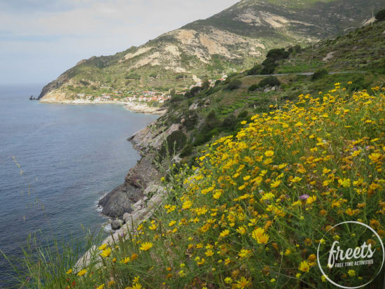 Elba, Blumen vor der Küste