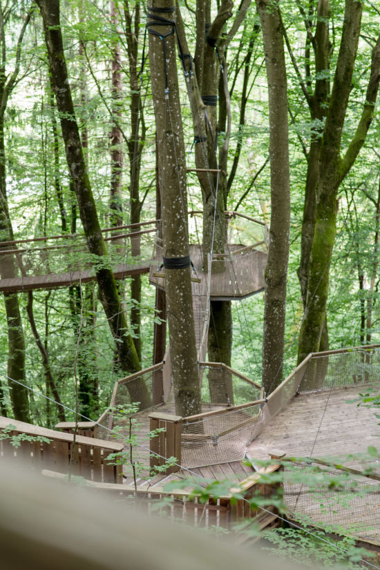Stege und Plattformen im Familywald am Ossiacher See, Ossiach am See