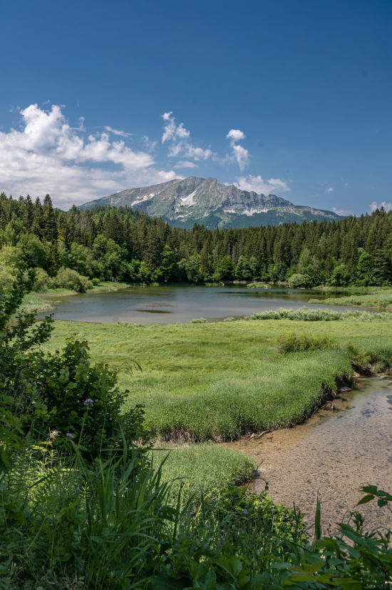 Blick auf den Ötscher vom Erlaufstausee