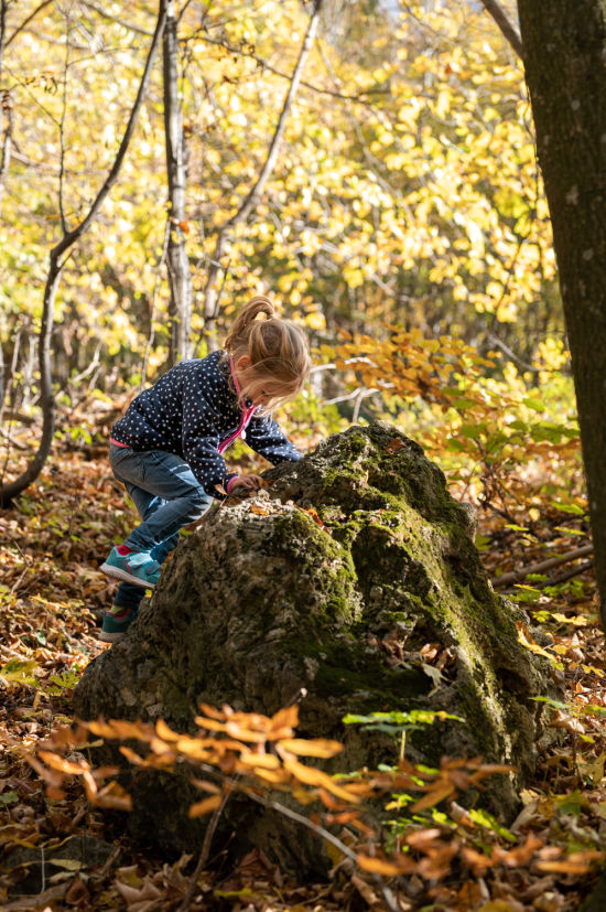 Kind am Stein im Herbstwald am Peilstein
