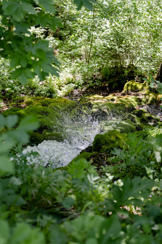 Naturpark Falkenstein