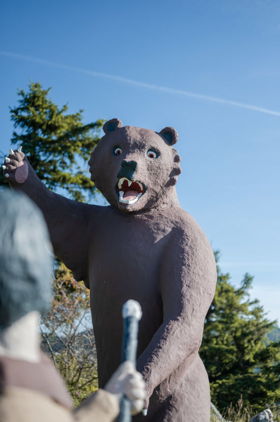 Höhlenbär in der Nähe der Geländehütte