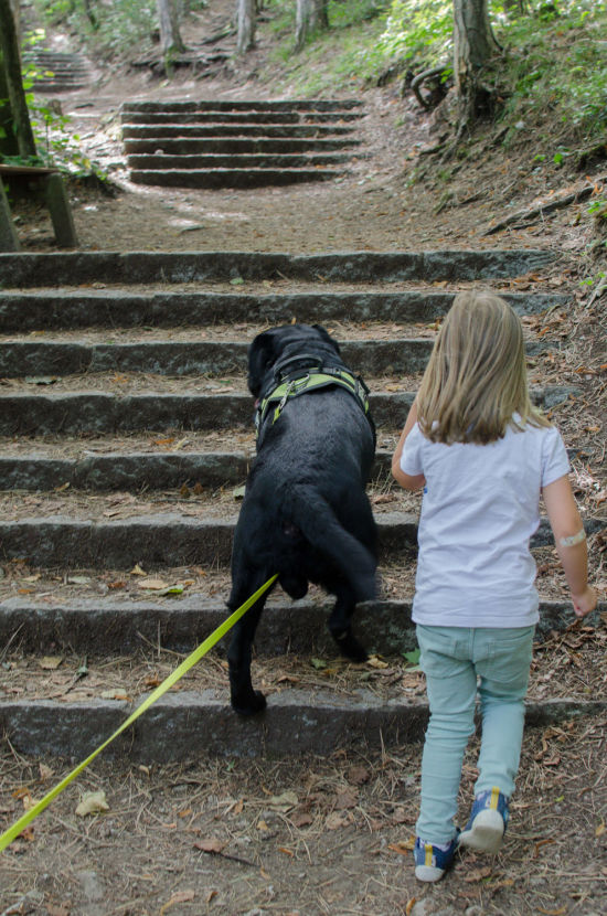 Wandern auf den Harzberg mit Kind und Hund