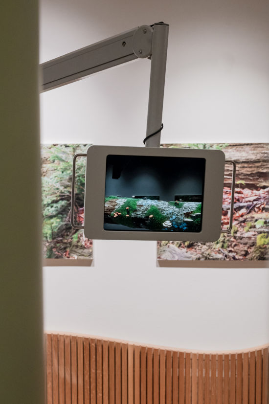 Ausstellungsraum im Haus der Wildnis