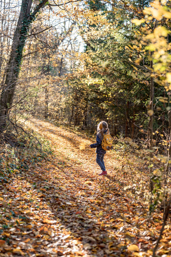 Mädchen mit Blatt im Herbstwald am Dachenstein, Fischauer Vorberge