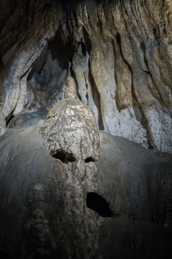 Schildkröte Formation in der Hermannshöhle