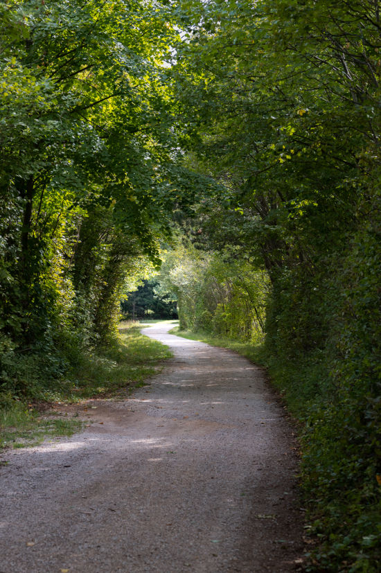 Retourweg zurück nach Dreistetten von der Herrgottschnitzerhütte auf der Hohen Wand