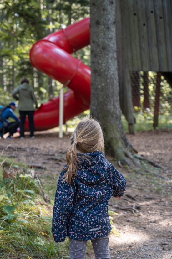 Rutsche als eine Station im Hexenwald auf der Hohen Wand für Kinder