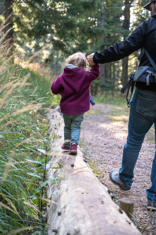 Kind balanciert im Hexenwald auf der Hohen Wand
