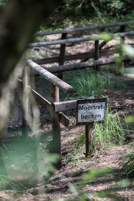 Moortretbecken, Hochmoor Schrems Moortretbecken am Naturparkweg im Hochmoor Schrems