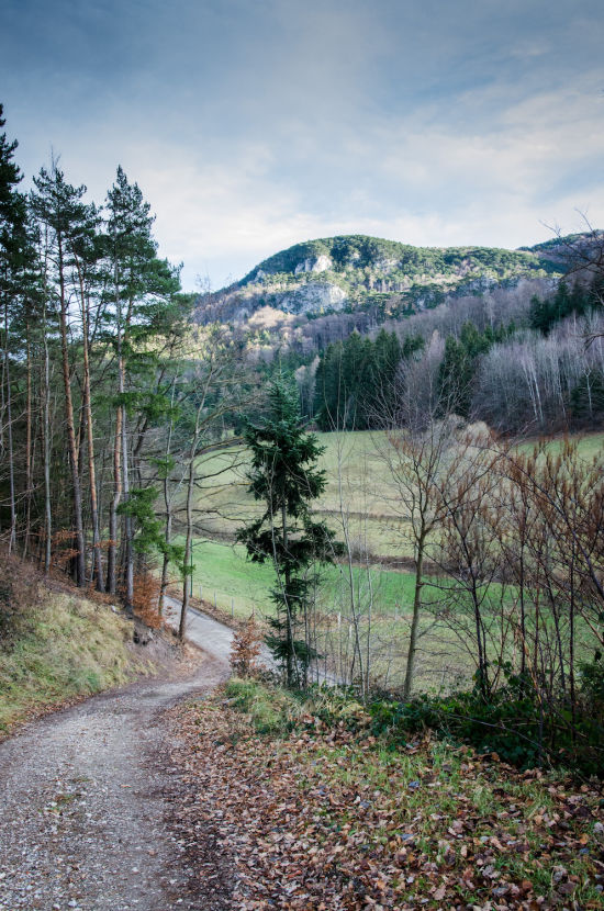 Hubertusrunde Schrattenbach