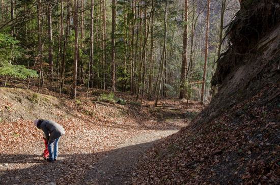 Hubertusrunde Schrattenbach