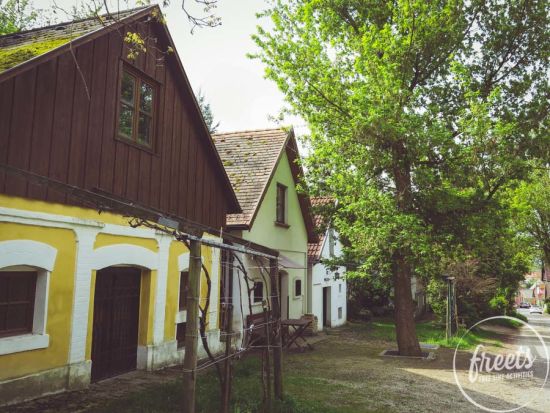 Kellergasse Wolkersdorf Häuser in der Kellergasse Wolkersdorf beim in die grean gehen