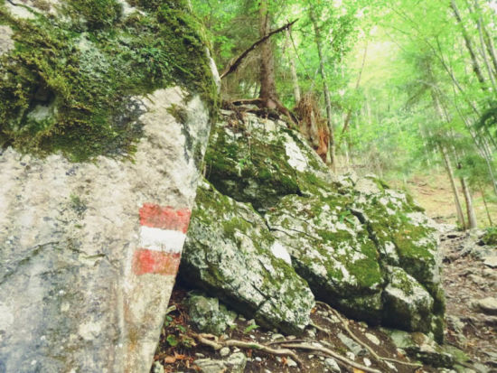 Markierung am Weg auf den Schoberstein