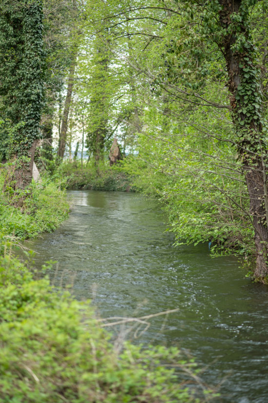 Mühlbach in der Leitha-Au in Katzelsdorf