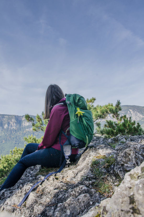 Irmafelsen am Kienberg, Aussicht auf die Hohe Wand
