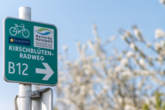 Radfahren am Kirschblütenradweg