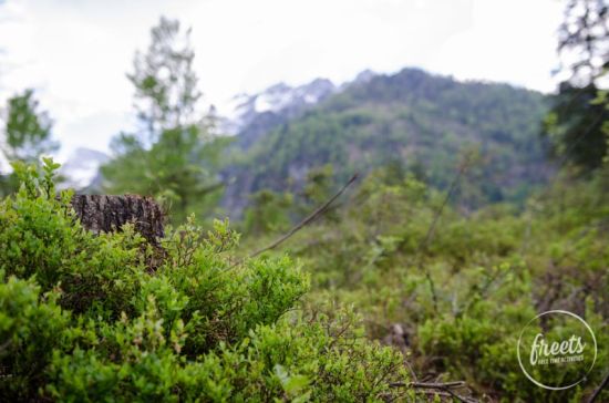 Bergwelt und Details rund um den kleinen Ödsee im Almtal