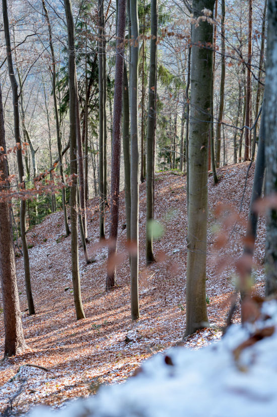 Winter, Wanderweg zur Burg Grimmenstein am Kulmriegel