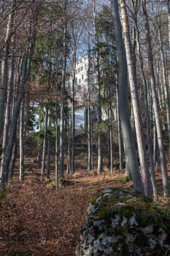 Blicke auf die Burg Grimmenstein beim Wandern am Kulmriegel