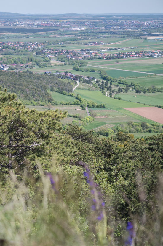 Aussicht vom Marmorsteinbruch Engelsberg bei Winzendorf