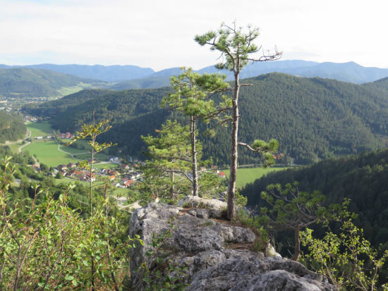 Blick vom Haustein ins Tal, Wanderweg Myrafälle