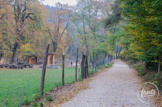 Naturpark Sparbach, Weg Weg durch den Naturpark Sparbach