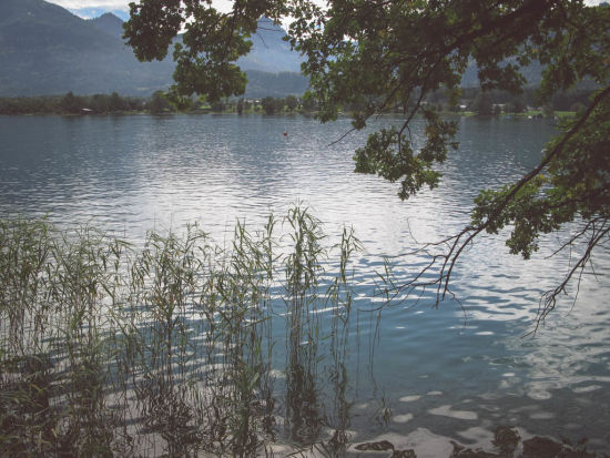 Wolfgangsee, Seeufer bei Ried am Pilgerweg über den Falkenstein