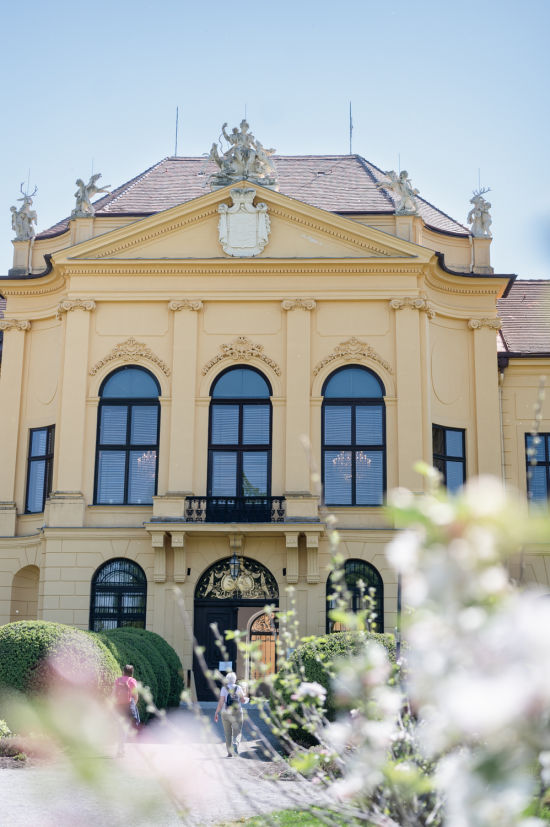 Westfassade Eckartsau vor blühenden Apfelbäumen