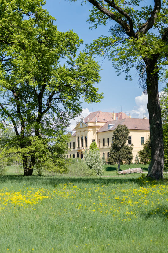 Schlossfassade mit Park im Vordergrund, Eckartsau