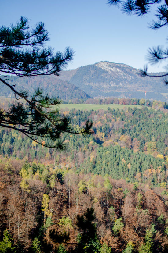 Aussicht von der Ruine Schrattenbach am Ruinenweg