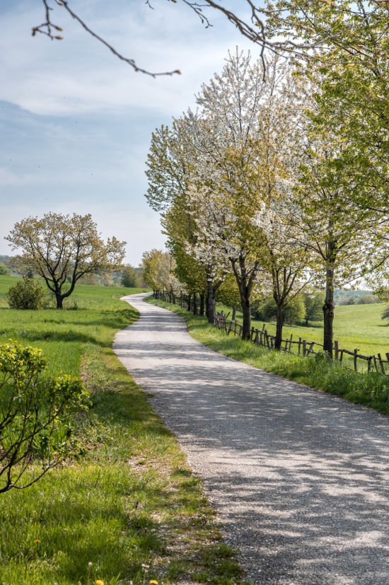 Eulenweg im Naturschutzgebiet Teichwiesen bei Mattersburg