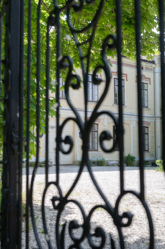 Rudolfsvilla  in Reichenau