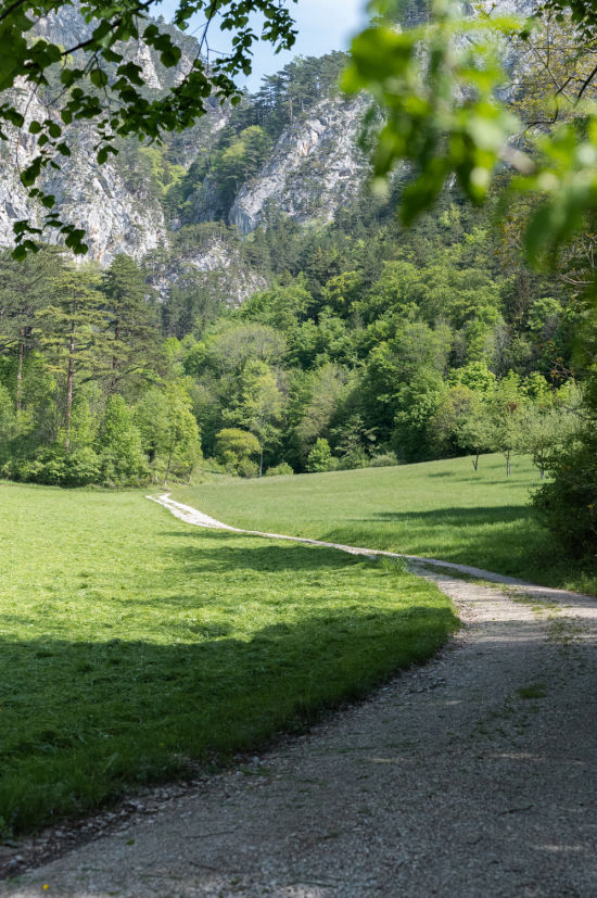 Thalhofrunde Reichenau