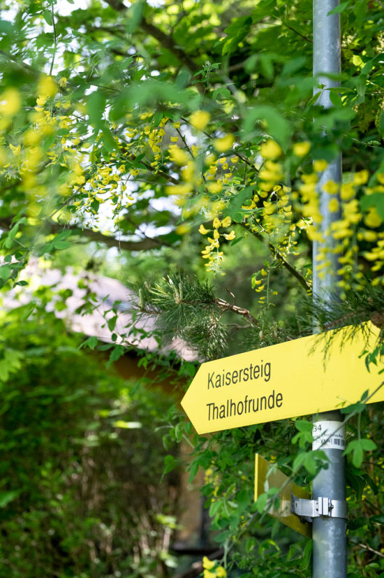 Kaisersteig und Thalhofrunde Reichenau