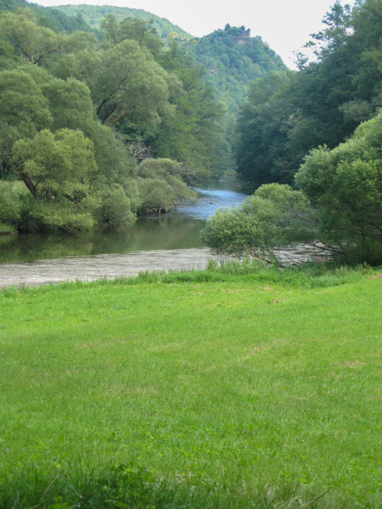 Thayatalweg mit Blick auf die Thaya und die Ruine