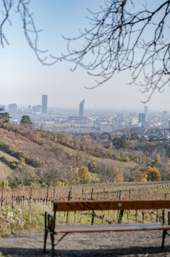 Nussberg, Weinwandern Bank am Nussberg bei Wien, Weinwandern