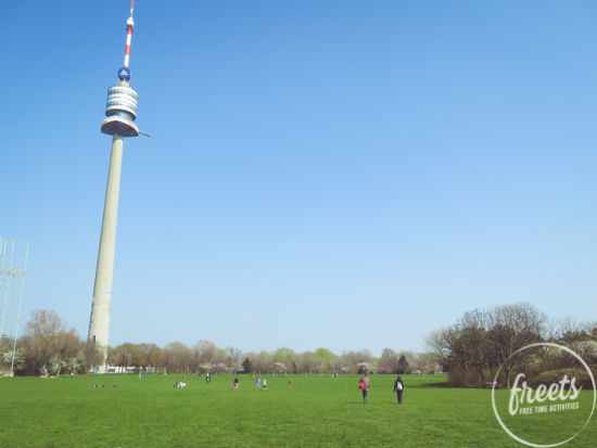 Wiese im Donaupark mit Donauturm im Hintergrund