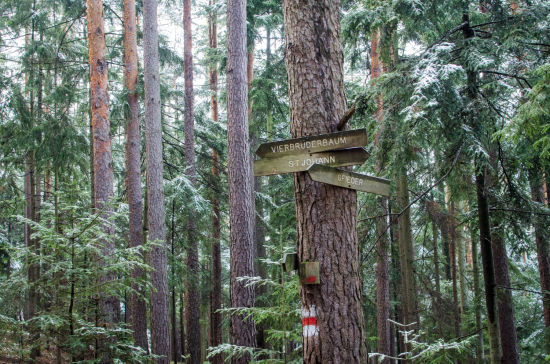 Beschilderung am Weg zur Gfiederwarte am Gfieder im Winter