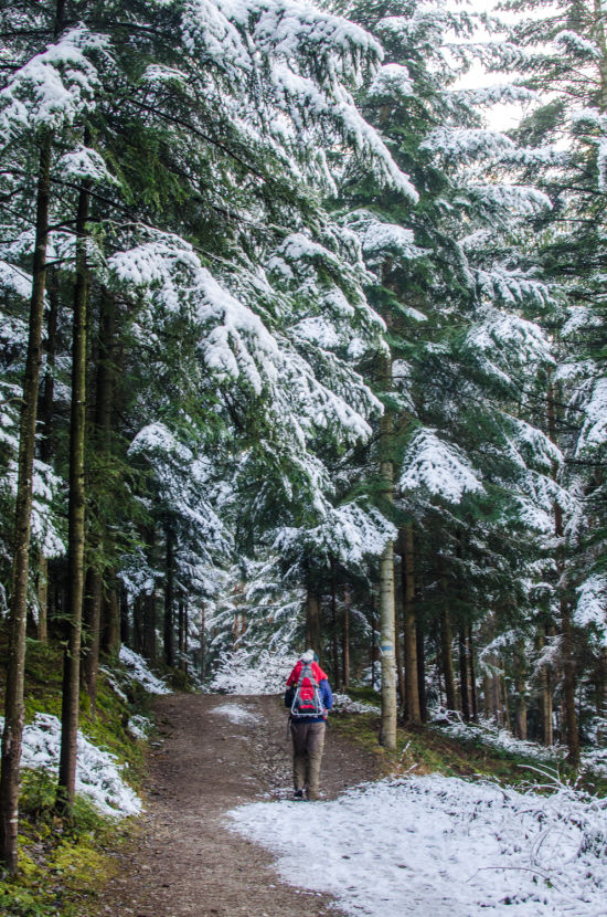 Wanderer am Weg zur Gfiederwarte auf dem Gfieder im Winter