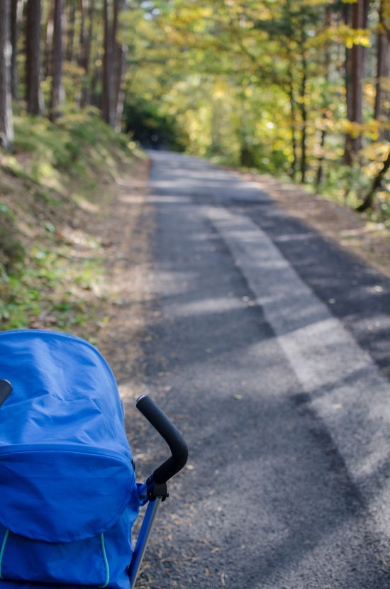 Kinderwagen am Rundweg in Prigglitz, auf der Wiese, im Waldstück