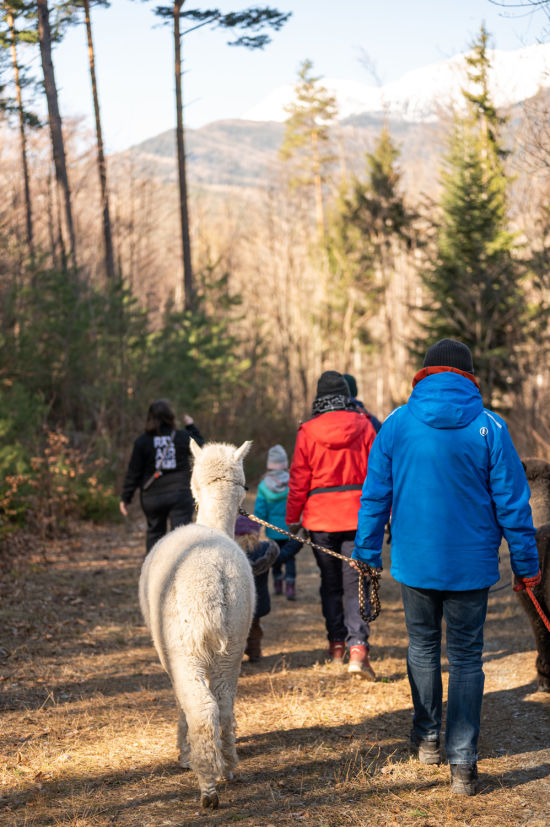 Wanderung mit den Raxalpakas