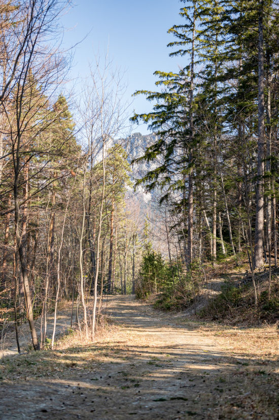Wanderung mit den Raxalpakas