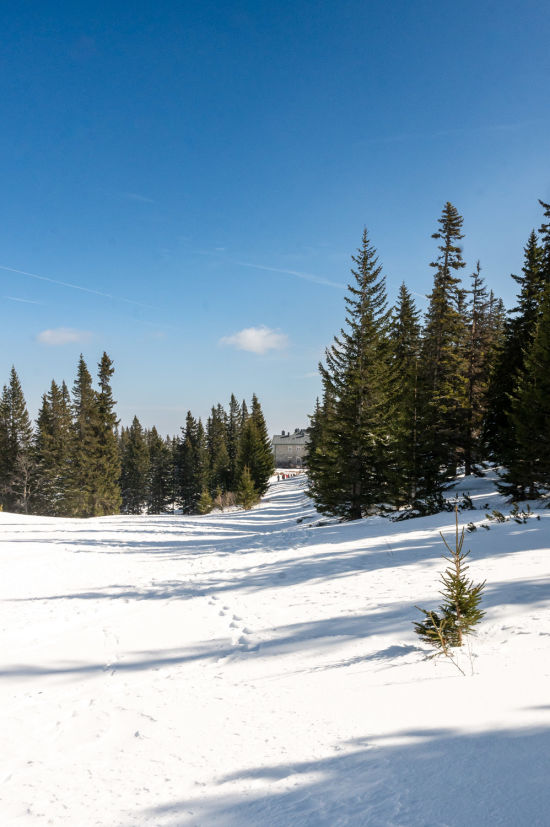 Blick zurück zur Bergstation auf der Rax