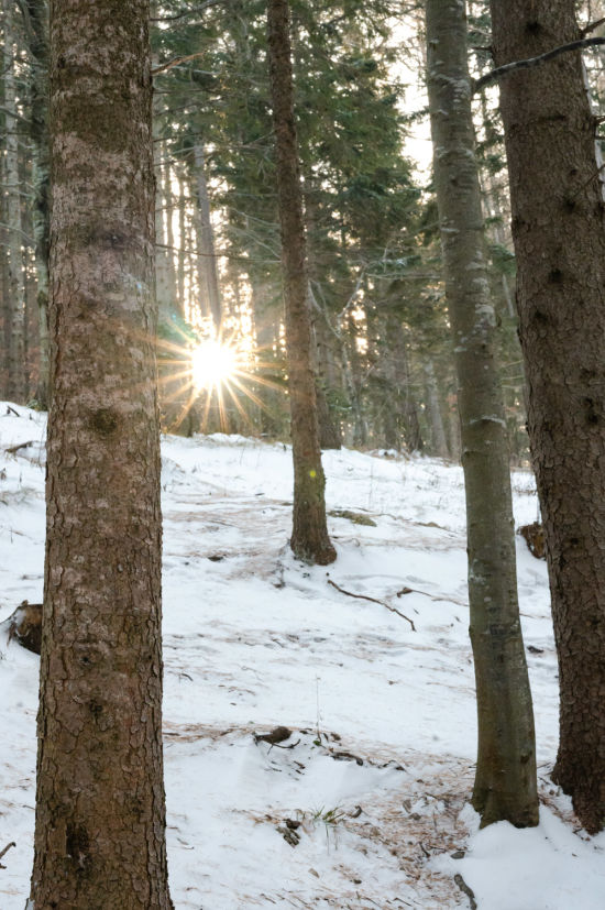Wintersonne auf der Hohen Wand