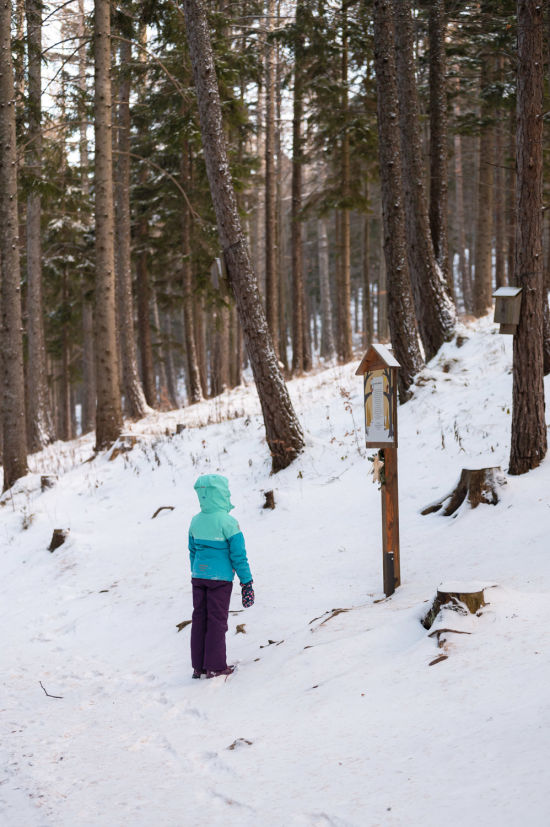 Kind vor Station bei Sternchens Waldadvent