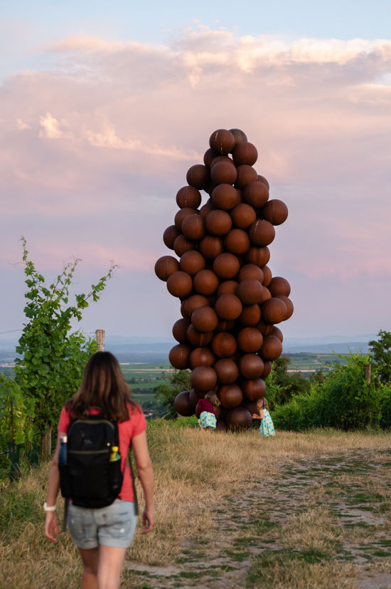 Weinweg Langenlois, Weintraube Wandern zur Riesenweintraube Weinweg Langenlois
