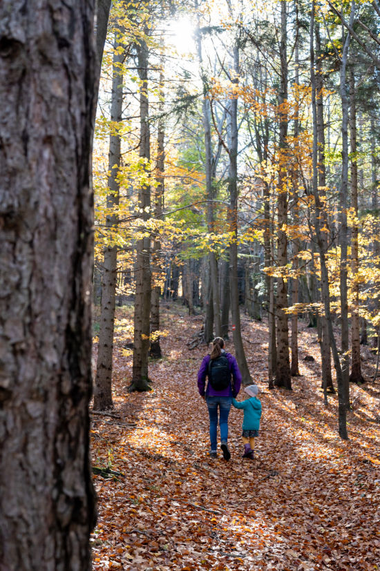 Wanderer im Herbstwald auf die Hohe Wand
