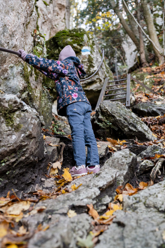 Drobilsteig, Hohe Wand, Kind bei Leiter